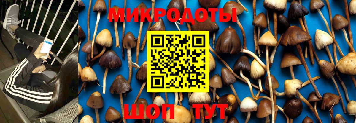 Галлюциногенные грибы GOLDEN TEACHER  Псилоцибиновые грибы MAGIC MUSHROOMS  Вход с VPN  Сертолово 