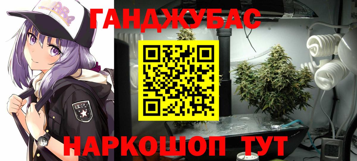 Каннабис планчик  Бошки Шишки план  Сертолово  Марихуана сатива  Вход с VPN 